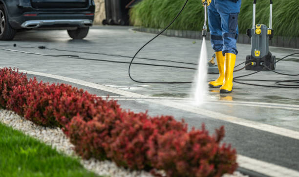 Best Sidewalk and Walkway Cleaning  in Delmont, PA